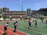softball5
