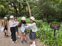 shizen3