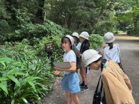 shizen4