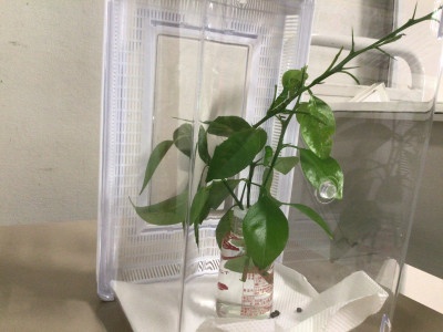 画像 (5)