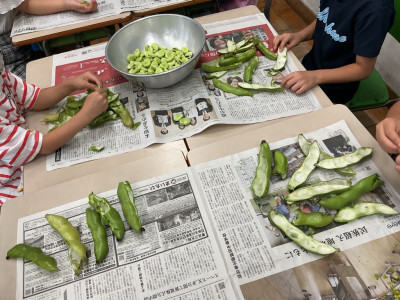 soramame6