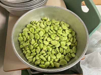 soramame7